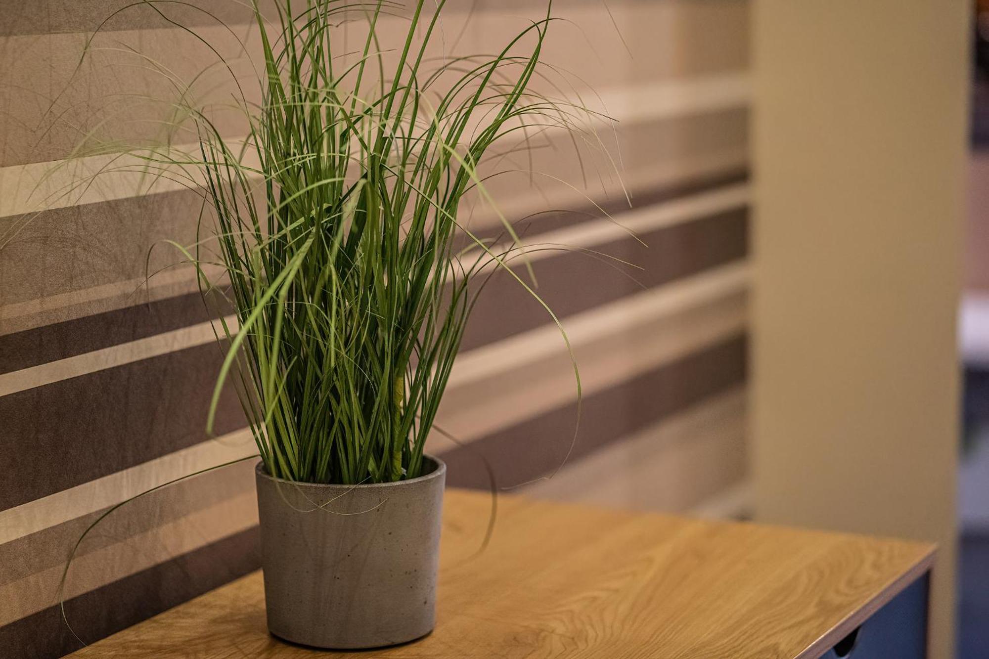 Kelemen Apartment Сегед Экстерьер фото
